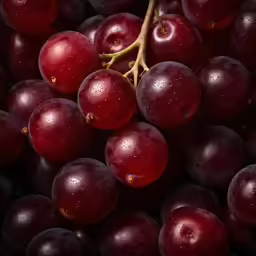 a bunch of purple grapes with a stem