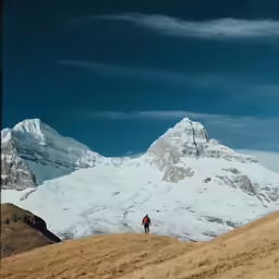 a man with a red coat walks near a mountain