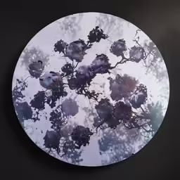 the view of a leafy tree is shown through an upside down lens