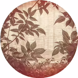 close up photo of foliage outside a window