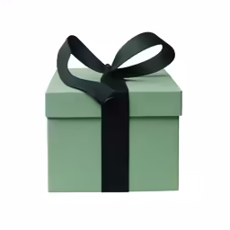 a green box with a ribbon on it
