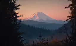 the mountain is covered with trees and surrounded by pine trees