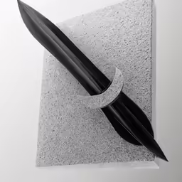an object in black and white with two feathers