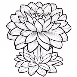 the flower drawing on a white background,a large flower with leaves and petals coloring