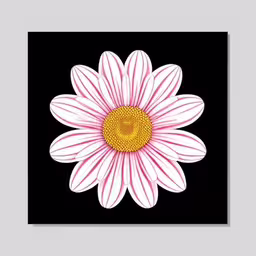 a white flower with pink stripes in the middle of it,a pink and white daisy with a smiley face drawn in the center