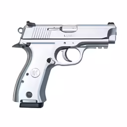 a revolver shaped like the gun used in the movie the term
