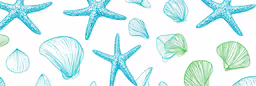 an image of sea starfish