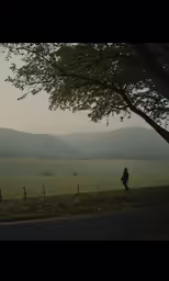 someone walking alone in a misty field with mountains in the distance