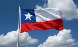 there is a state flag flying in the wind