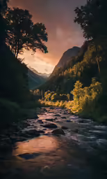 a small creek running between some trees near mountains