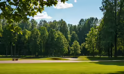 a wide open green park with a park bench in the middle