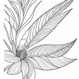 this is an outline drawing of the flower,an illustration of an exotic leaf