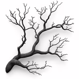 an ink drawing of a bare tree branch