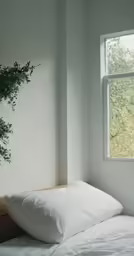 an unmade bed sitting under a window next to a plant