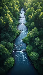 this is an aerial view of water surrounded by trees