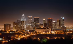 nighttime view of some very large city lights
