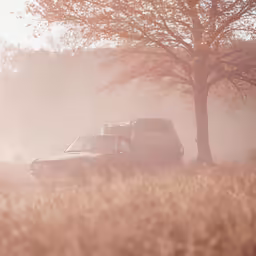 an older car driving down the road past a tree