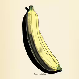 a banana is shown with yellow tips on its stem,an old banana from the early 19th century