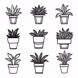 a set of potted plants on a white background