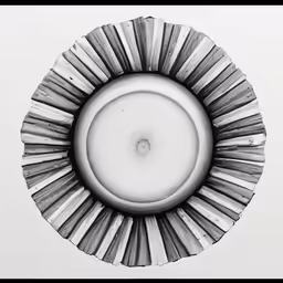an intricate circular object against a white wall