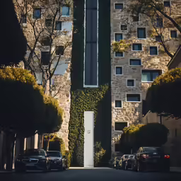 an arch covered in vines in front of a stone building