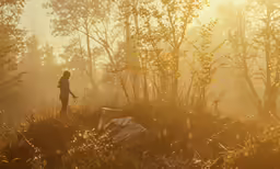 a girl walks through a field in the morning sun