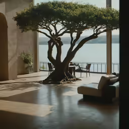 large living room with a tree and patio table on the other side