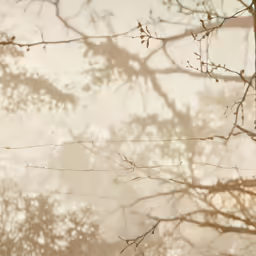a bird that is perched on a tree