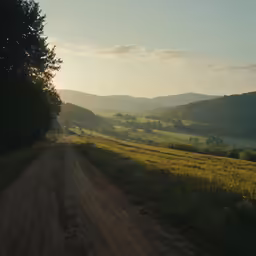 a dirt road in a green field