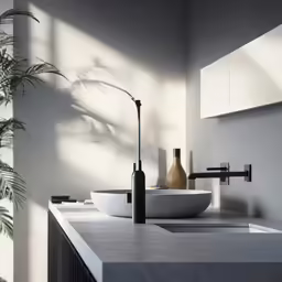 two round sinks with vases and a plant in the background