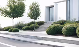 concrete steps that lead up to a building and landscaping