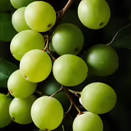 the green fruit is on the branch with leaves
