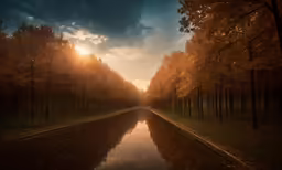 a road with many trees and water in the middle