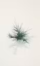 a grass is growing out of the fog