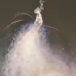 the horse is jumping out of the water and spray