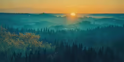 a sunrise over trees in a foggy forest