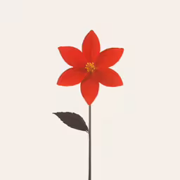 a single flower sits alone on a stem