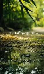 the water is being reflected on the surface