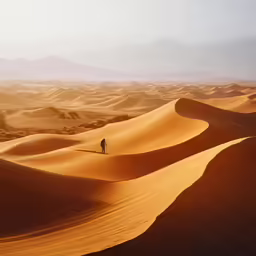 two people standing on the sand dunes of an empty desert