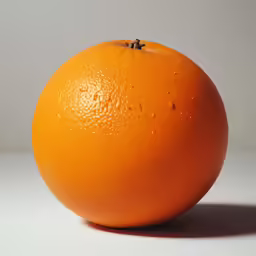 an orange sitting still against a white background
