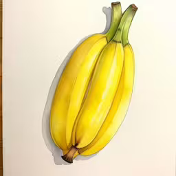 there is a drawing of a group of bananas,a banana is hanging up against the wall