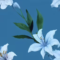 white flowers are seen against the blue sky