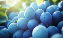 grapes are purple and green and their white flesh
