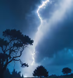 a tree that is in the grass near clouds,a very large tree with some kind of lightning coming in from the sky