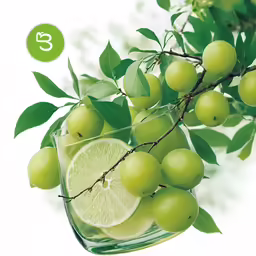 some limes that are sitting on a tree branch