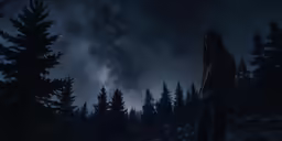a person standing on a hill in the dark