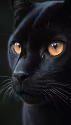 a close up of a black cat with bright yellow eyes