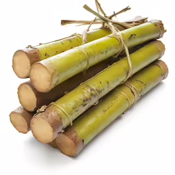 several large green bamboo sticks piled on top of each other