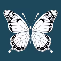 a white butterfly with black stripes on its wings,the underside of a white butterfly on blue background