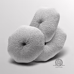 some kind of large object that is white